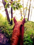 The Best Horseback Riding Trails In Iowa