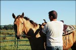 Riding Our Buckskin Gelding for the First Time