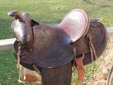 New Saddle That Was Given To Us