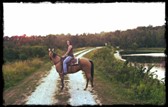 Trail Riding At Hacklebarney