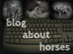 Goals For 2015 - Blog About Horses More!