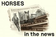 Horse Stories In The News