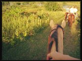 Trail Riding At Pierce Creek Recreation Area, Essex, Iowa