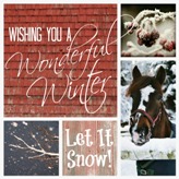 Have A Wonderful Winter!