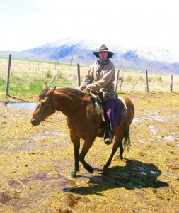 AQHA Buckskin Filly Chickory