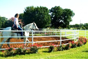 Round Pen Photo