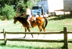 Horse Riding