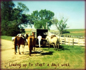 Loading Horses In The Trailer