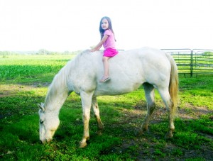 Horseback Riding Cricket