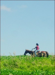 Riding Horses