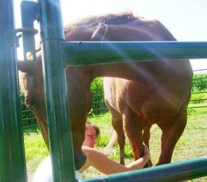 Barbed Wire Cuts in Horses