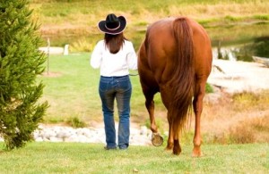 Riding Horses Bareback