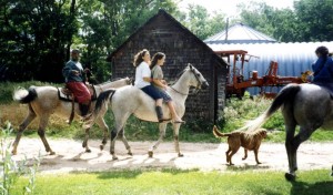 Riding Rudy with College Friends