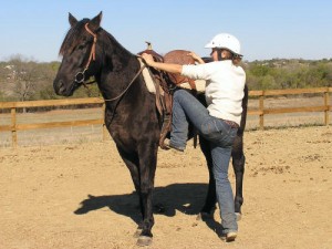 Teach Your Horse to Stand Still