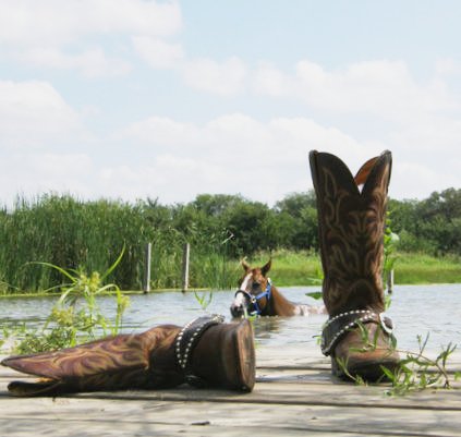 Swimming With Horses