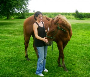 Horse Training