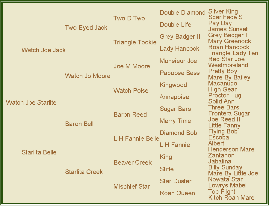 Pedigree for Watch Joe Starlite, Quarter Horse Stallion