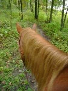 Trail Riding on Daisy