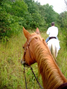 Trail Riding