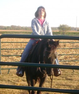 Black Tennesee Walking Horse Gelding