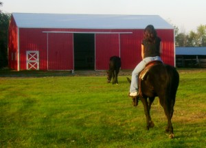 Riding Toby through the barnyard