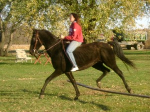 Riding Bareback over a Jump