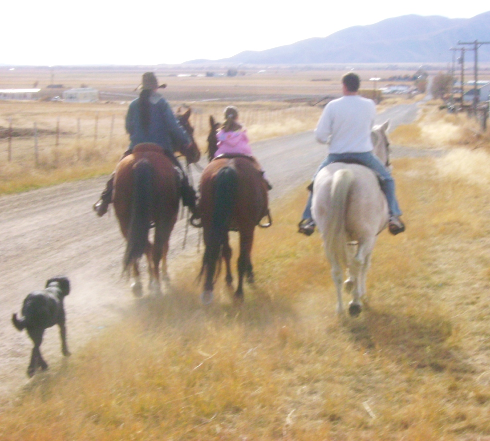 Riding home after the cattle drive