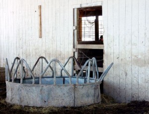 Empty Hay Feeder