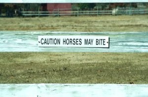 Caution Horses May Bite