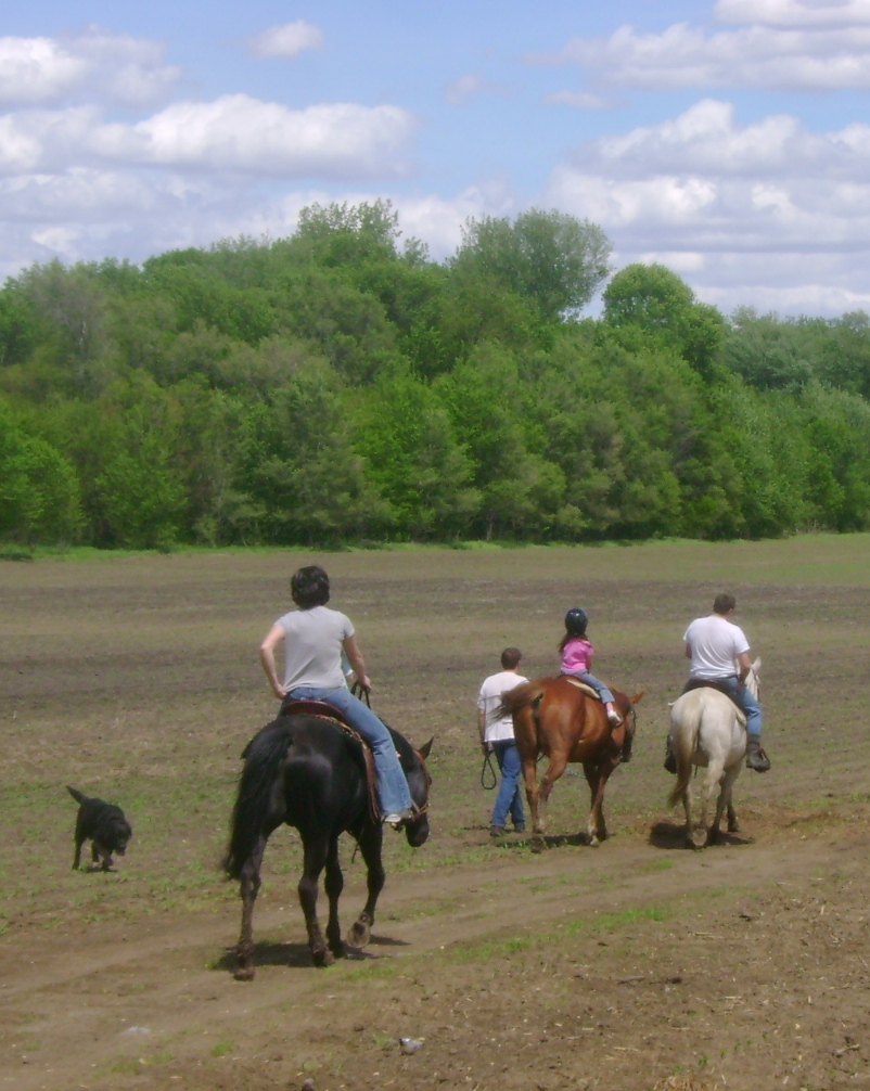 Horseback Riding