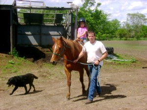 Horseback Riding Tips for Beginners