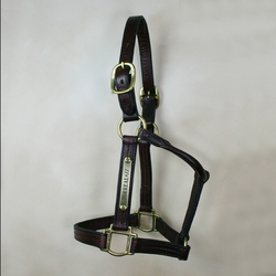 Engraved Halter