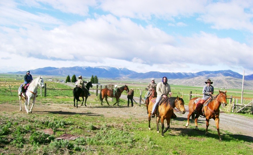 Quarter Horse Ranch in Idaho