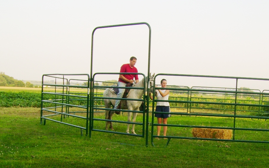 Cowboy Dad Training Horses