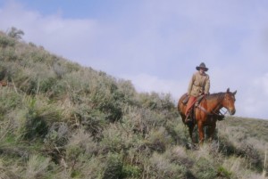 Horseback Riding in Sagebrush