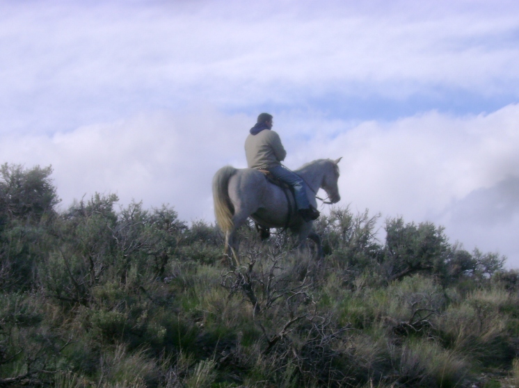 Horseback Riding in Idaho