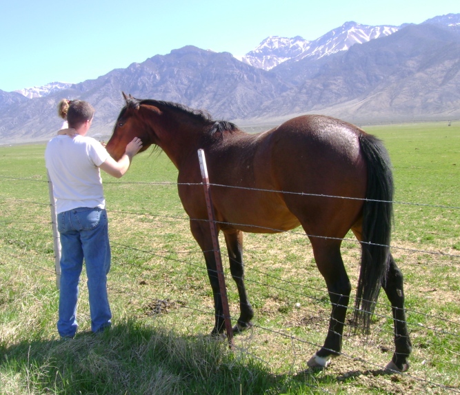 Cowboy Dad saying Hi to a Horse