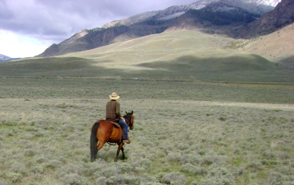 My dad on his horse Red