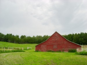 My Uncle Dan's Barn Near Elsmere, Nebraska