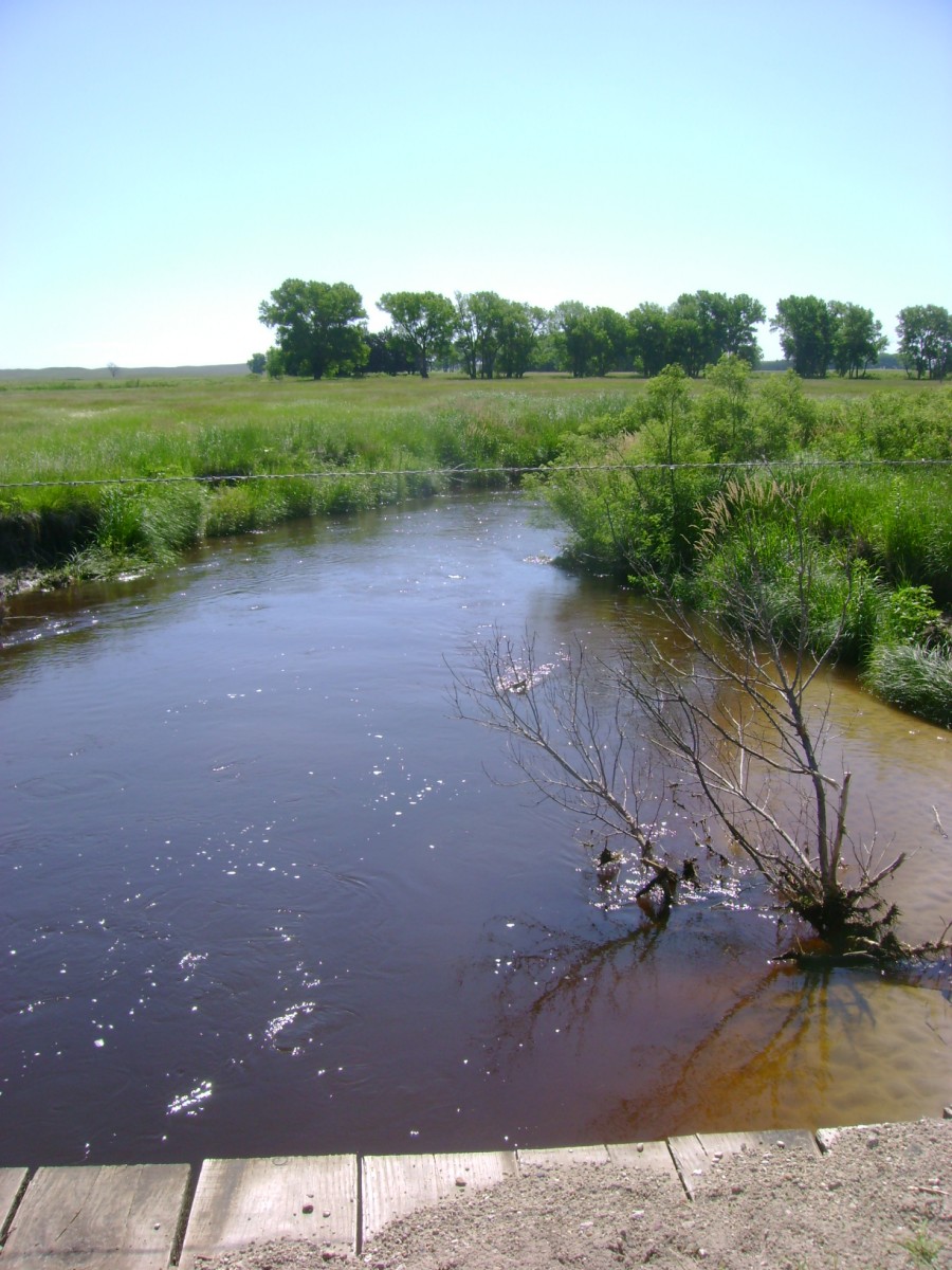 The Goose Creek Bridge