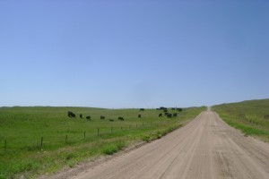 Mockingbird Hill Near Elsmere, Nebraska