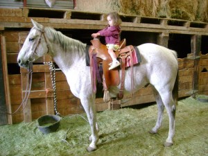 How To Saddle A Horse