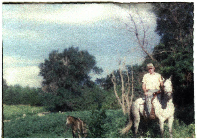 Spider, Working Ranch Horse of the Sandhills