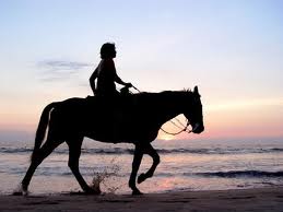 Overcome Your Fear of Horseback Riding