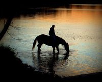 Horseback Riding at Night