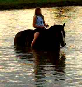 Riding Horses Bareback