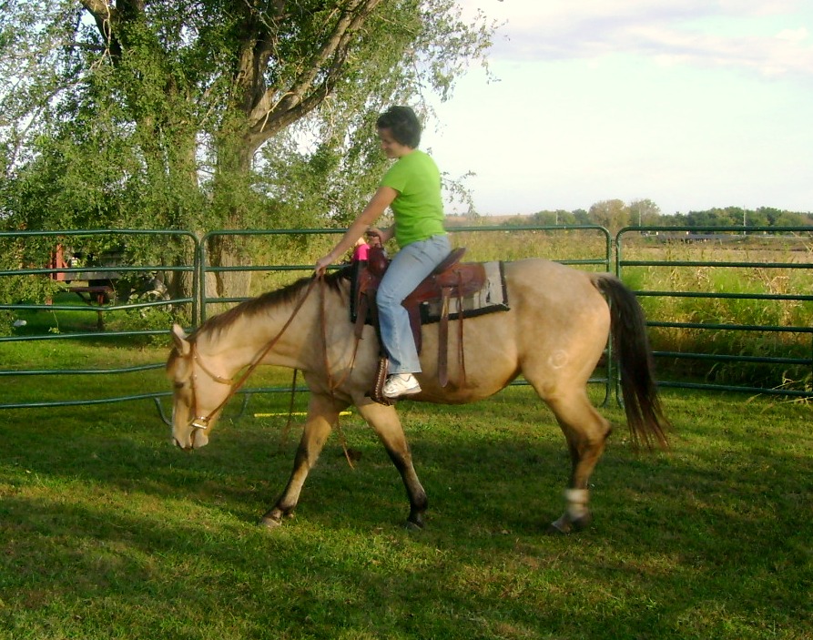 Horseback Riding - My Buckskin Mare