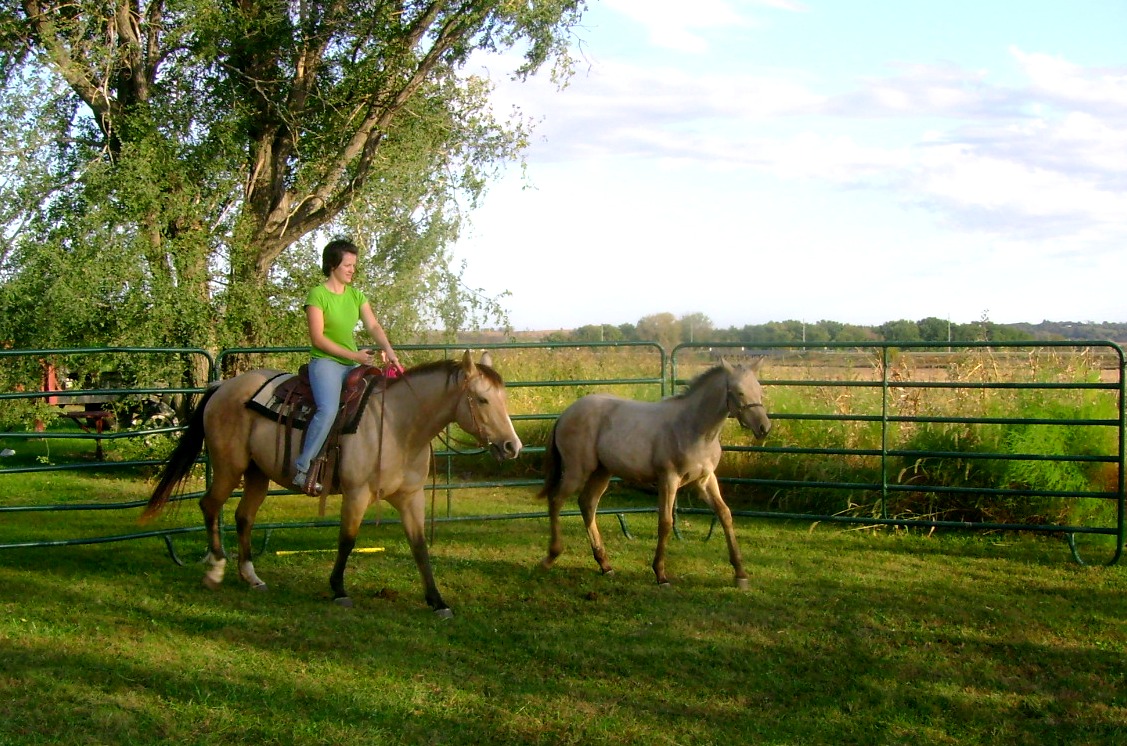 Riding the New Mare with her Foal