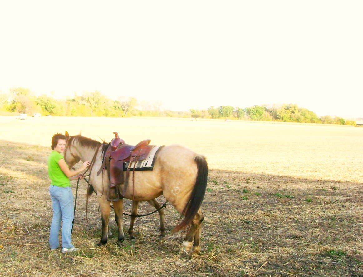 The New Buckskin Mare and Foal