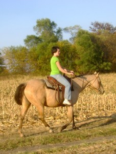 My First Ride on the New Horse